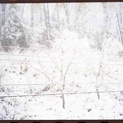 Snow in March 1998