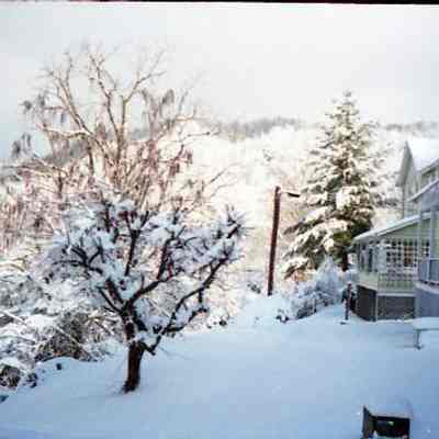 Snow in March 1998