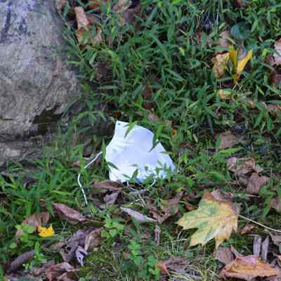 Mask on ground on Washington Street in Harpers Ferry