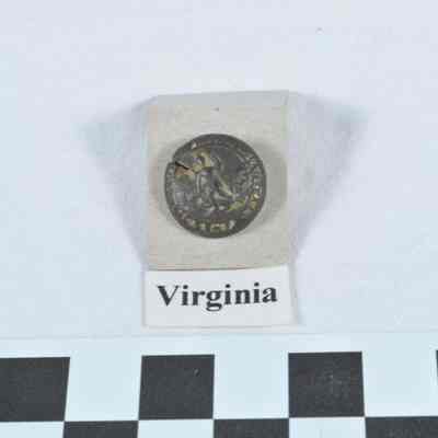 Virginia button