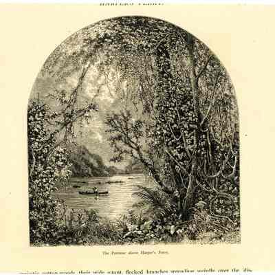 The Potomac above Harper's Ferry