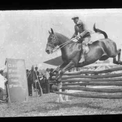 Horse jumping at horse show