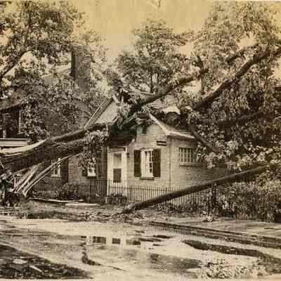 Wind storm damage