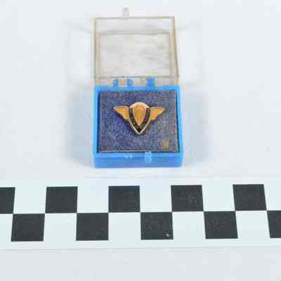 Black and gold pin