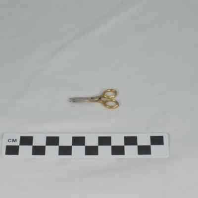 Gold handled scissors