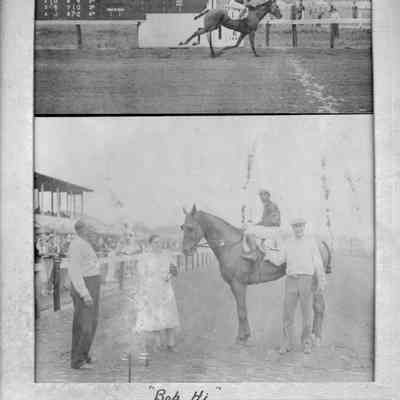 "Bob Hi" at race track