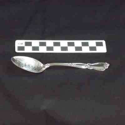 Silver commemorative spoon