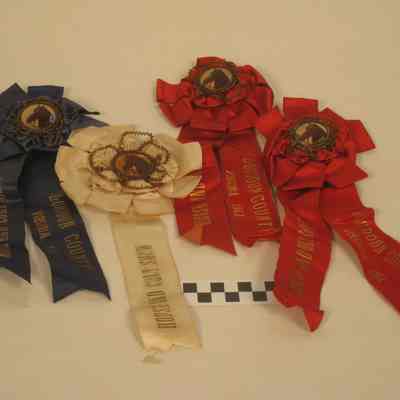 Four horse show ribbons
