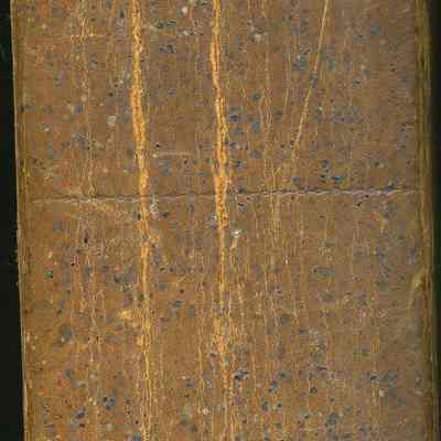 spine of the 1819 Revised Code of Virginia