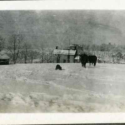 Camp Hill from Brackett House, looking west