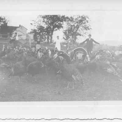 Carl, Paul, Mary, Dice, & Charles Milton with turkeys - Oct. 1938