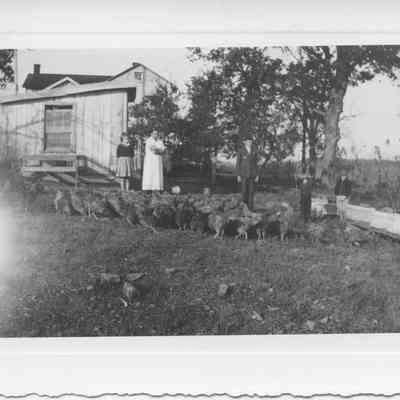 Mary, Dice, Charles, Carl, & Floyd Milton with capons - Oct. 30, 1938