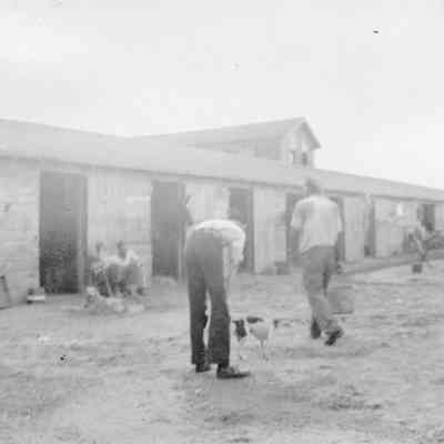 Unidentified race track stables and workers