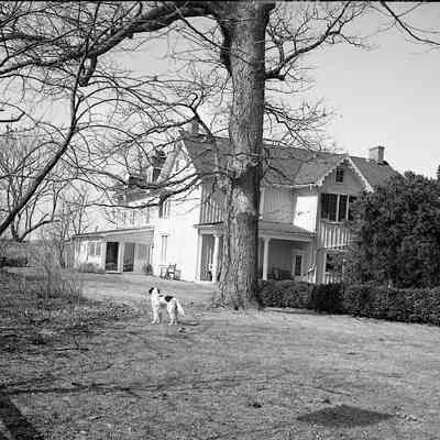 Media: Origformat: Other