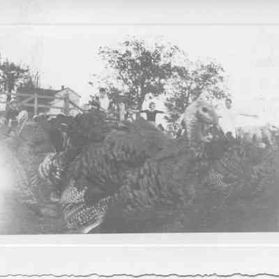 Carl, Paul, Mary, Dice, & Charles Milton with turkeys - Oct. 1938