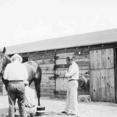 Unidentified race track stables, horse, and workers