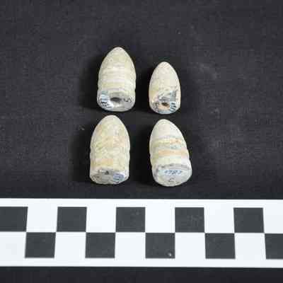 Four Civil War era bullets
