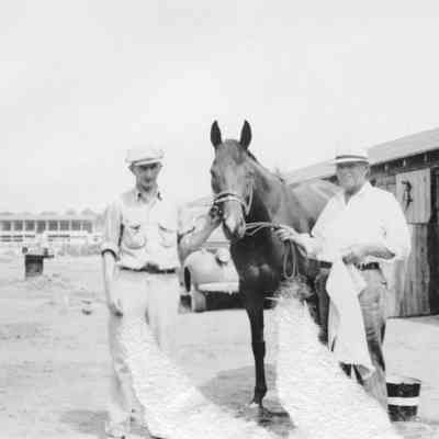 Unidentified race track stables, horse, and workers