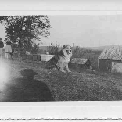 Paul, Floyd, & Mary Milton with Tootie, the dog - 1938