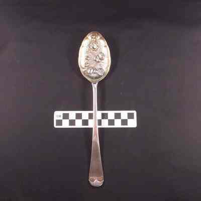Silver serving spoon for fruit