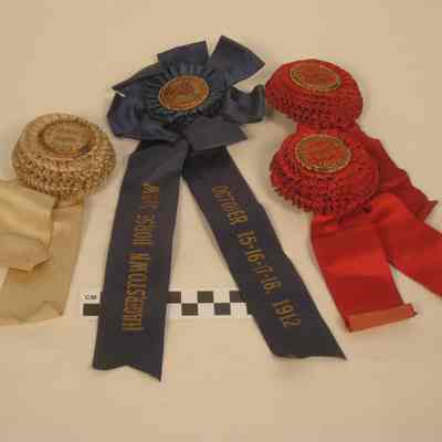 Four horse show ribbons