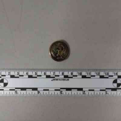 U.S. Army general service button