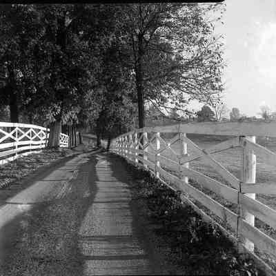 Claymont Court farm lane