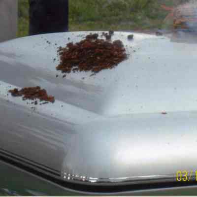 Frank Buckles funeral, IMG3470-22