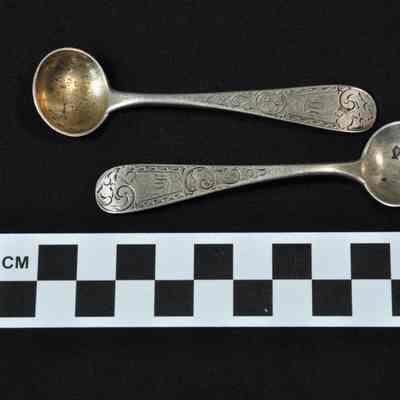 Two salt spoons
