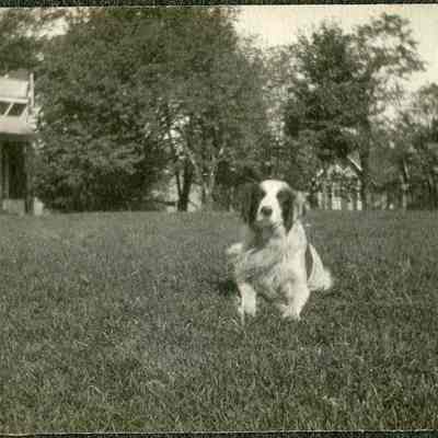 Brackett House, east elevation