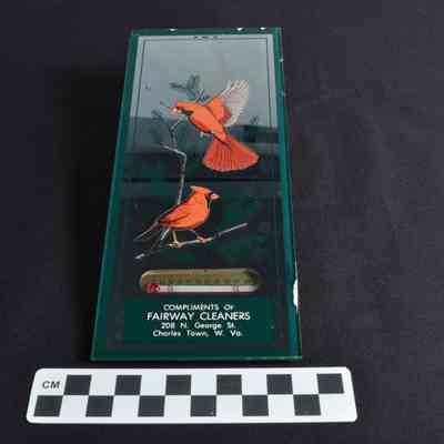 Fairway Cleaners thermometer