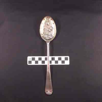 Silver serving spoon for fruit