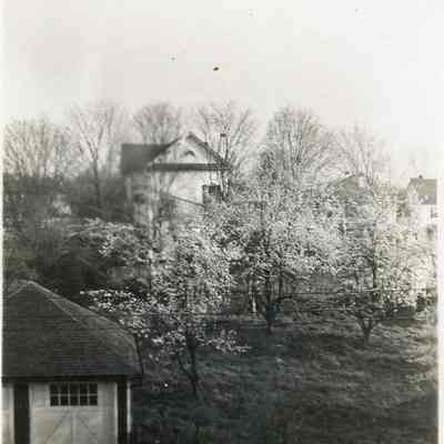 Backyard of Davenport house