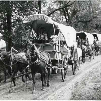 Contemporary wagon train
