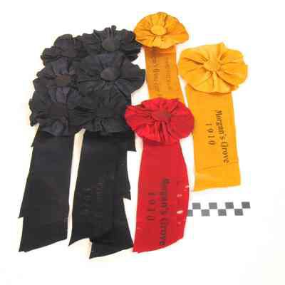 Nine horse show ribbons