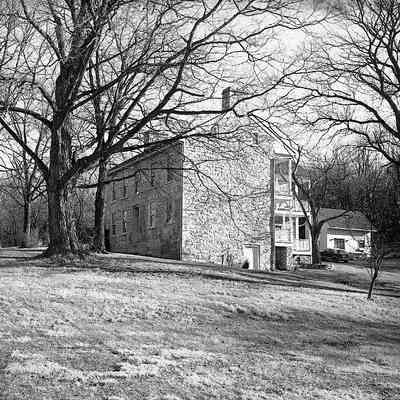 Linden Spring