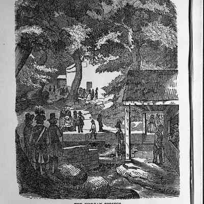 "My Ride to the Barbecue" illustration