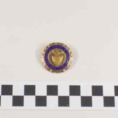 Gold pin circled in blue enamel