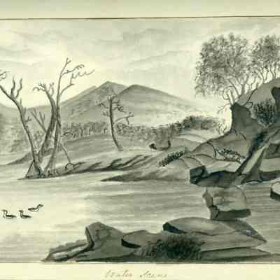 Water Scene