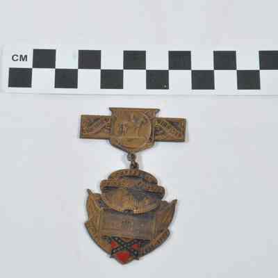 Confederate reunion medal