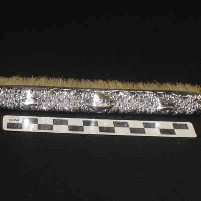 Silver clothes brush