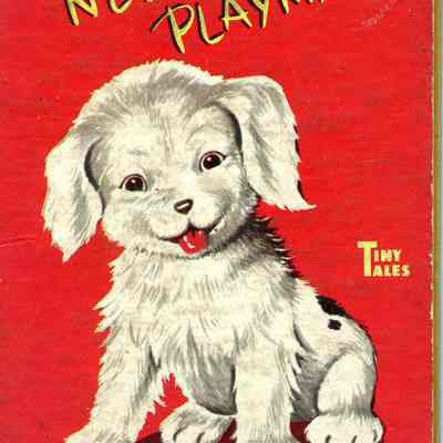 Children's book:  A New Playmate