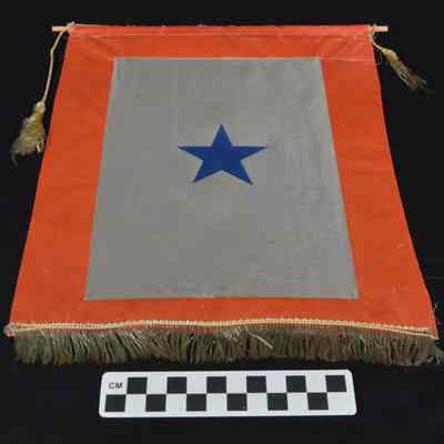 Service flag