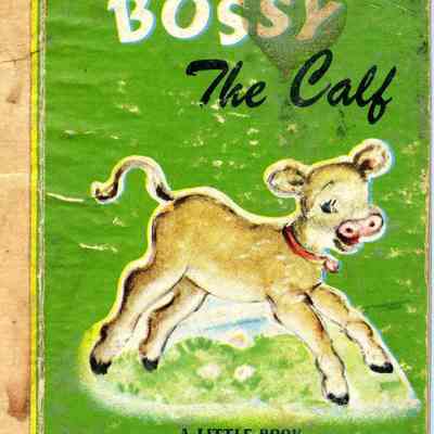 Children's book:  Bossy the Calf