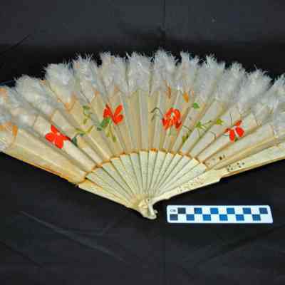 Bone, cloth and feather fan