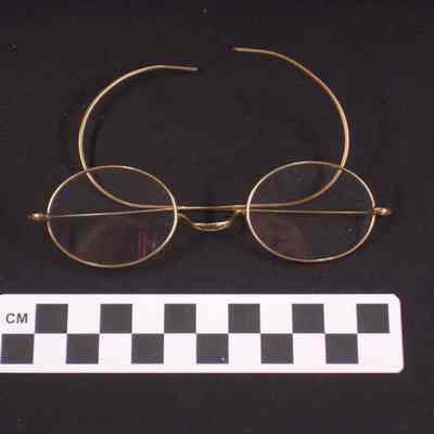 Gold thin wire-rimmed glasses with oval lenses