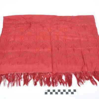 Table cover with fringe