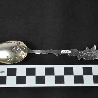 Silver gilt teaspoon with wheat or herb design at end of handle