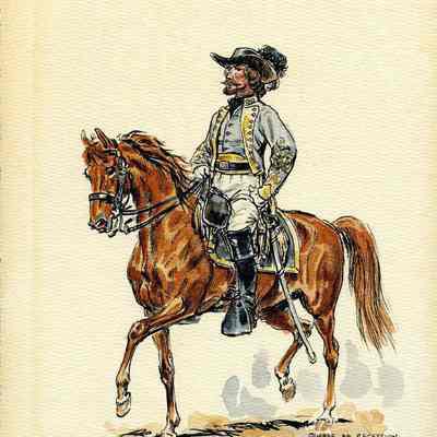 Colonel de Cavalerue