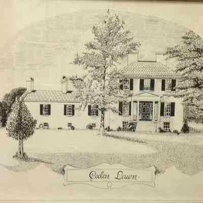 Cedar Lawn